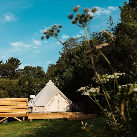 Willow Valley Glamping 布德 外观 照片